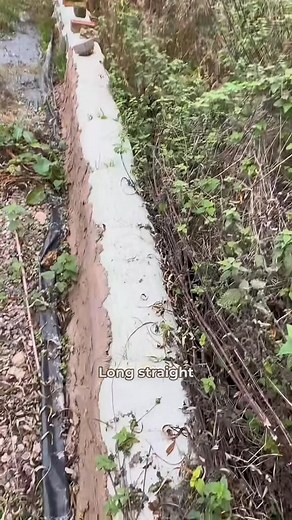 84K views · 1.4K reactions | Building walls from sandbags #diy #wall #building #offgridliving #homestead | Field to Farm | Facebook