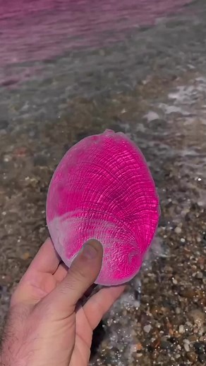 cozygames____ on TikTok