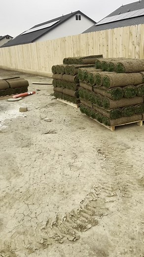 Full landscape front and back New sprinkler system 900 sq ft sod Concrete 12 yards gold rock 50 plants Landscape lighting
