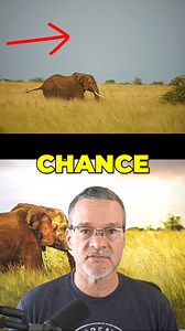 21K views · 237 reactions | How would you take this safari photo? Get your FREE camera settings cheat sheets. Visit timsphotos.com | TimsPhotos | Facebook