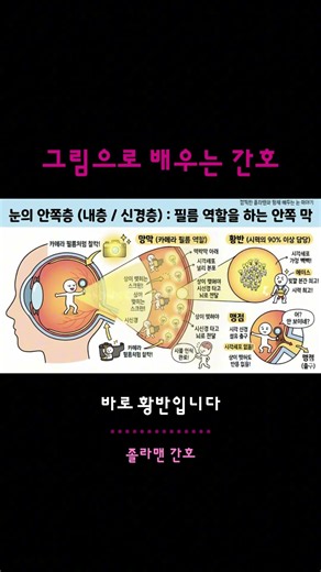 눈의 안쪽 구조 완벽 정리! (망막, 황반, 맹점) #간호조무사시험 #간호조무사요약정리 #간호조무사강의 #그림으로배우는간호