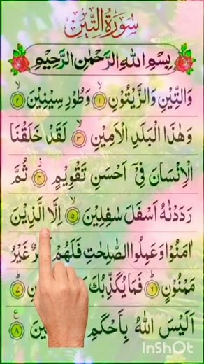 surah atteen)(سورہ التین )#QuranShorts #ShortQuranRecitation #IslamicShorts#MuslimShorts #Islamic
