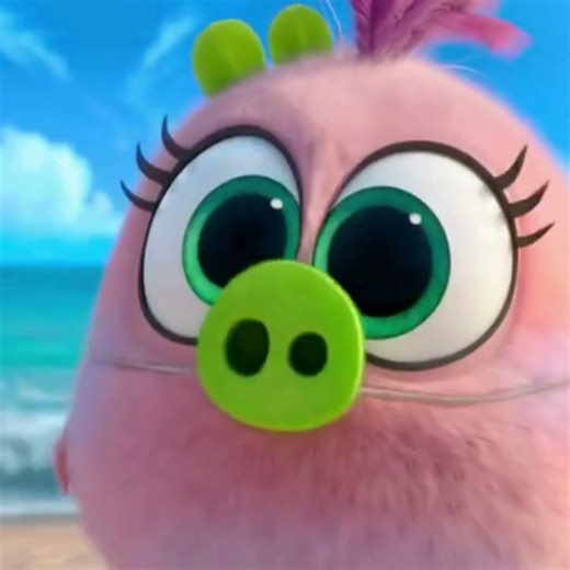 🎬Angry Birds Funny Cartoon Clips 😂 | Best Moments | Toon Kingdom