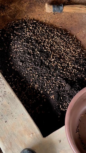 How can you make alternative fertilisers for crop farmers and alternative animal feed for livestock farmers at almost zero cost | Bempet Organic Farm