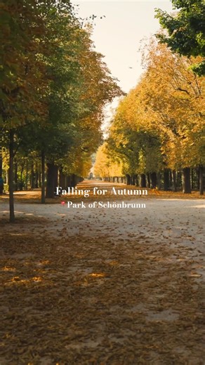🍂 Autumn 🍂 has officially arrived - and it starts to cover the Park of Schönbrunn in its prettiest shades. Do you love these golden moments as much as we do? ✨ 🎥 © SKB 💛 #SchönbrunnWaitsForYou . #Schönbrunn #Palace #autumn #Vienna #autumninvienna | Schloss Schönbrunn