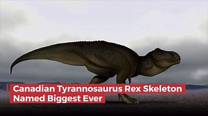 The Biggest T-Rex Was A Canadian - video Dailymotion
