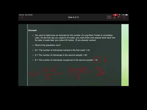 Measuring Population Size - Capture, Mark & Recapture