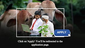 1.7K views | Apply for a Kisan Credit Card Visit your bank’s website, select ‘Kisan Credit Card,’ and click ‘Apply.’ Fill in the details, submit the form, and receive a reference number. If eligible, the bank will contact you within 3-4 working days. #KisanCreditCard #FarmersEmpowerment #FinancialAssistance | Dept of Animal Husbandry and Dairying, Min of FAHD | Facebook