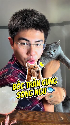 Bóc trần Song Ngư♓️ #songngu #pisces #cunghoangdao #fact #zodiac