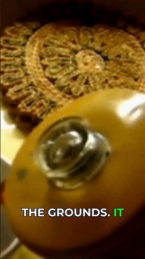 This Coffee Maker Was Louder Than Your Alarm!