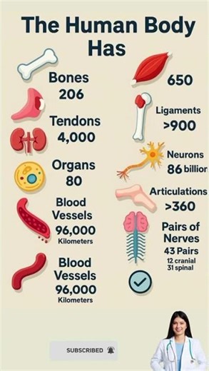The Human Body Is INSANE! 😳 (Mind-Blowing Facts)