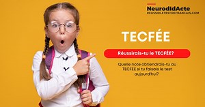 Réussirais-tu le TECFÉE?