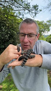 Aliens do exist! 🐛 | Ivan Carter