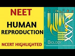 NCERT Explained for NEET: Human Reproduction Video Lecture