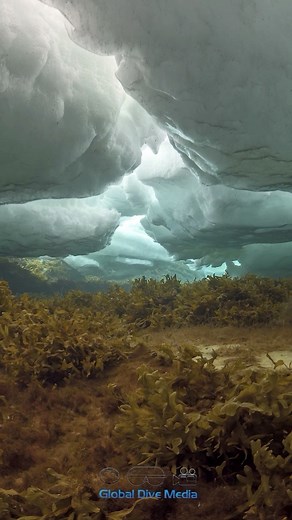 IFYOUHIGH on Instagram: "Tide timelapse under ice by @globaldivemedia follow @ifyouhigh"