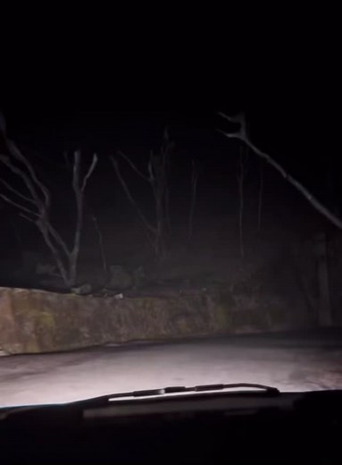 #fyp #horror #foryou #foryourpage #horrortok #scary #horroranimation #animation #horrortiktok #SimsSelves @micha_jokes