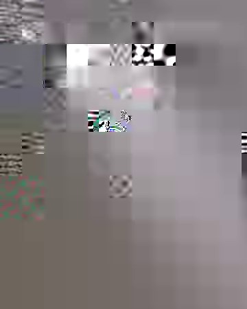 That's it, I'm getting a human dog bed and never leaving it 😴 | Lessons Learned In Life