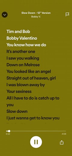 slow down- bobby v (sped up)