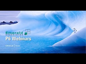 2023-04-20 - Primavera P6 EPPM Web