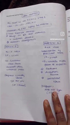 Lets make a beautiful prectical file ❤️✨