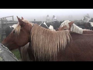 ASCAIN la Transhumance des POTTOKS
