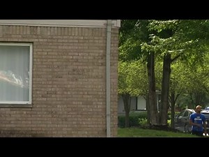 Local 4 News at 11 -- July 8, 2021