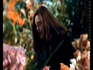 The Orchid Show scene from Adaptation 2002 by Spike Jonze