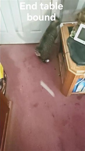 End table bound