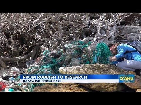 50,000 pounds of marine debris sorted for science
