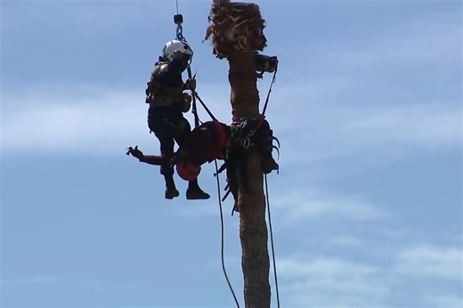 Dramatic footage shows daring aerial rescue of worker stranded atop towering palm tree