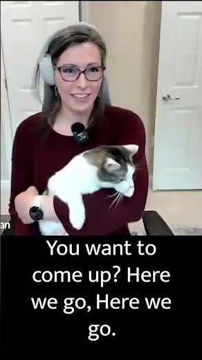 Cat Cameo - The Unexpected Star of the Angular Podcast