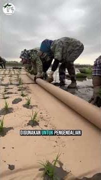 Environmentally friendly innovative paper mulch...