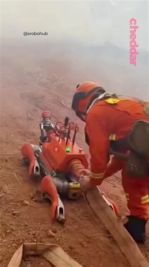 56K views · 9.7K reactions | In Sichuan, China, Unitree’s quadruped robots are capable of operating in extreme environments during rescue missions to minimize hazardous exposure to firefighters. Those missions can range from forest fires to accessing a flaming building floor. - Credit @xrobohub #robotics #robot #robotdog #unitree #china | cheddar news | Facebook