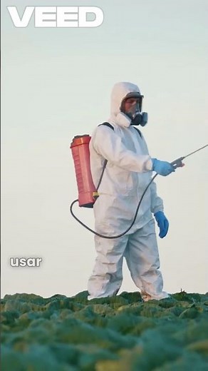 Ramas de la entomología- Parte 4: Entomología urbana #biology #insectos #curiosidades