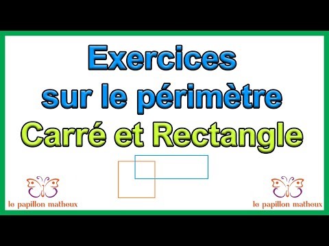 exercices sur le périmètre du carré et du rectangle cm2