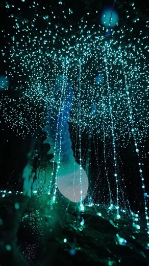 Nature's Most Lethal Trap #wildlife