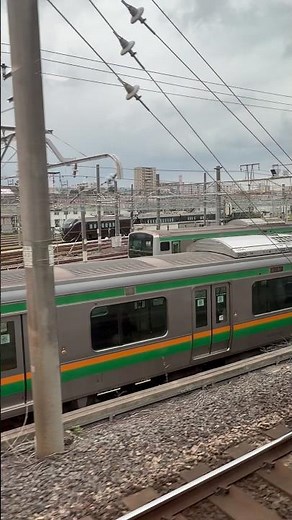 久しぶりにE655系"なごみ"が尾久車両センターの見えやすい位置に移動してました👀（2026.7.7.10:59） #youtubeshorts