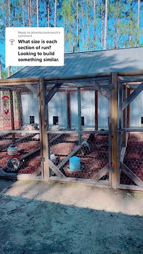 DIY Barn Chicken Runs | Farming Life Update