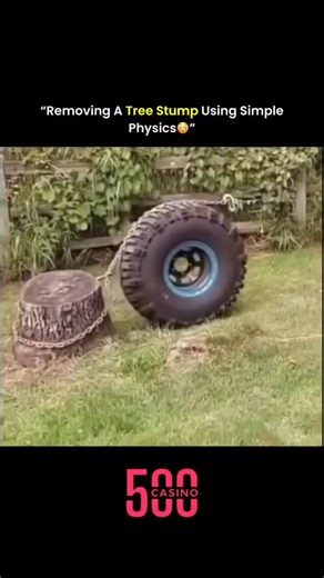 EXPLAINING VERSE on Instagram: "Tree stumps are deeply rooted in the ground with thick taproots and wide lateral roots, making them tough to remove. While most people rely on grinders or chainsaws, some use clever physics instead. By attaching a heavy-duty chain to the stump and looping it around a tractor’s wheel hub, the rotation creates a steady pulling force—like a powerful winch. As the wheel turns slowly, it applies controlled torque to lift the stump without breaking the chain or harming 