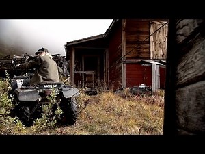 Bear at the Angle Station | Edge of Alaska