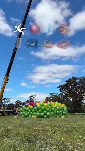 1.2M views · 10K reactions | Things Vs Exercise Ball Pit  #reels #funny #comedy #challenge #fun | How Ridiculous | Facebook