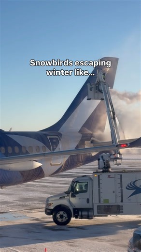 There are two types of people during winter: those who want snow, and those who want to chase the sun. Which one are you? ☃️ or 🌞 | Breeze Airways