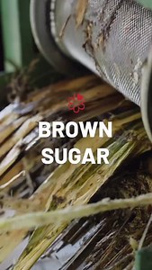 From the fertile plains to the bubbling iron pots, brown sugar in Taiwan reflects generations of artisanal craftsmanship. Let's explore the taste of tradition and learn more about the famous brown sugar production in Taiwan. 🎥 @michelinguide #taiwan #michelinguide | Taiwan Tourism SG