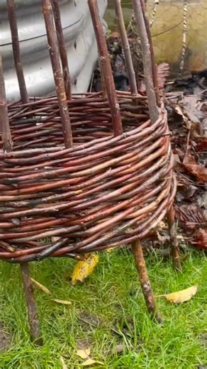 Welcome to my Tiny Garden ✨