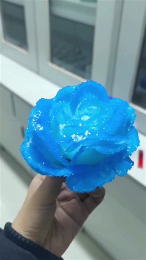 Fantásticas Rosas: Un Elemento Esencial para Hadas