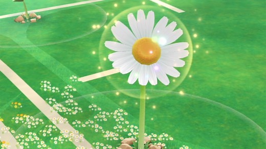 台灣今日上線！皮克敏《Pikmin Bloom》進階多色花苗、精華取得教學