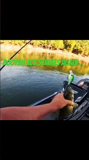 Booyah XCS Strikes Again.