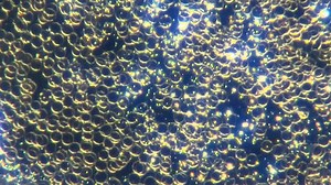 Transparent Brain-Computer Interface Uses AI and Nanotech - Novel brain-computer interface combines AI machine learning and Graphene. Chance Of AI Exterminating Humans Now At 95%