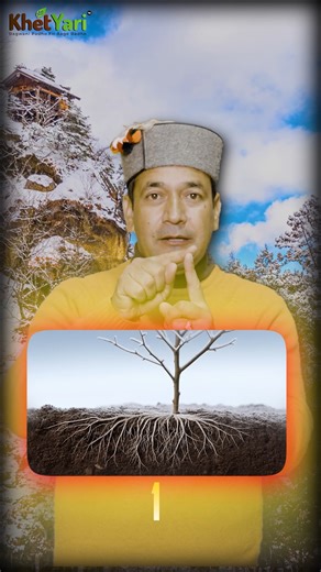 Kya Sardiyo Me Root Growth Hoti Hai? Janiye Sachai, Facts Aur Expert Tips Apni Plants Aur Farming Ke Liye.🌱❄️ . . . . . . . . #RootGrowth #WinterFarming #PlantCare #AgricultureTips #SmartFarming #HealthyPlants #jittuchauhanorchard | KhetYari