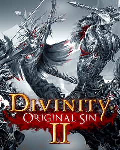 Divinity: Original Sin II Windows game